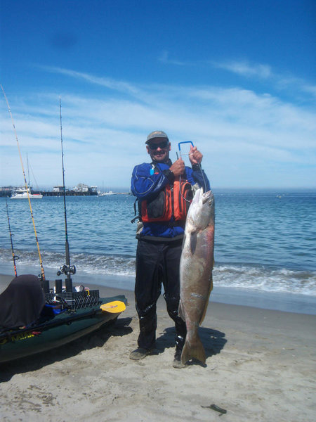 seabass pic.jpg