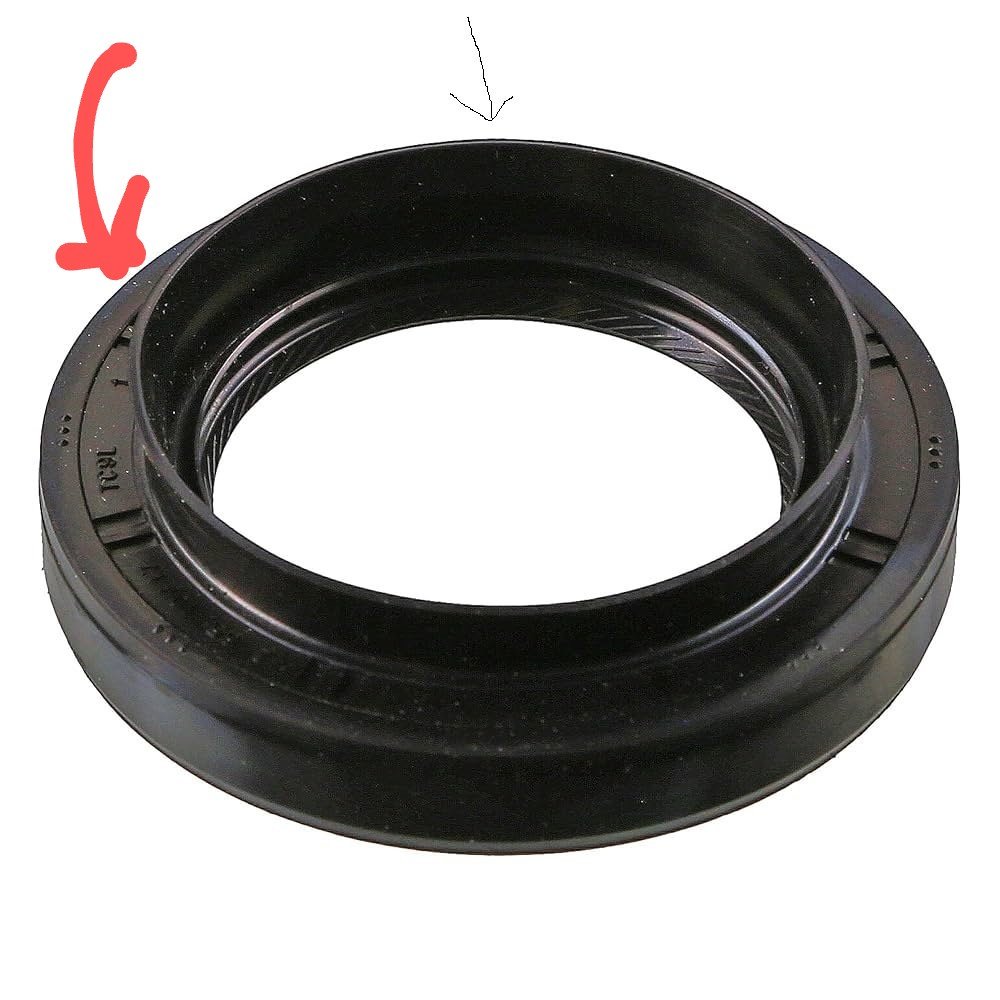 seal~2.jpg
