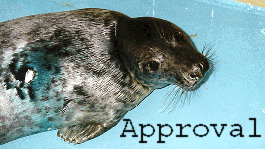 seal_of_approval.gif