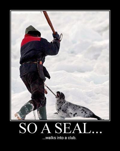 SealClub_566bff8f10c34bc22abe247e4b985825a905540e.jpg