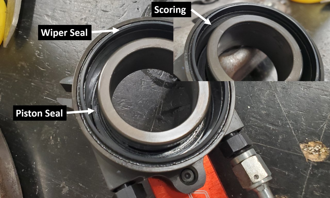 Seals.jpg