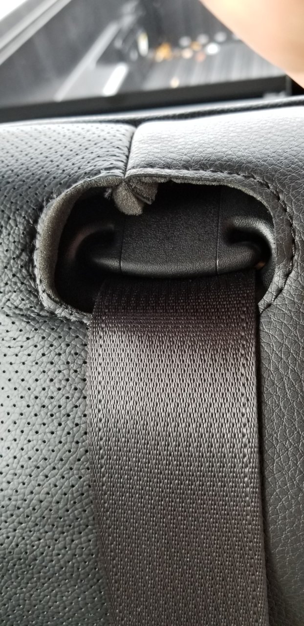 Seat Belt Cover.jpg