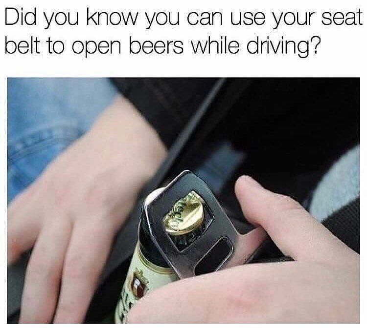 seat belt.jpg