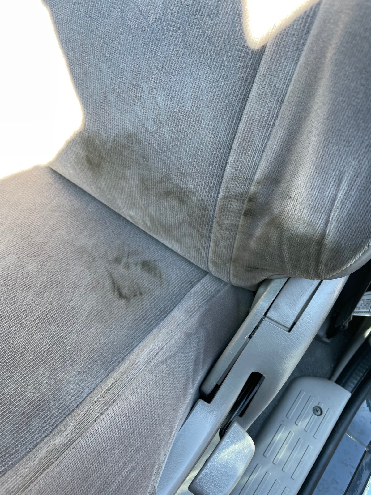 seat stain.jpg