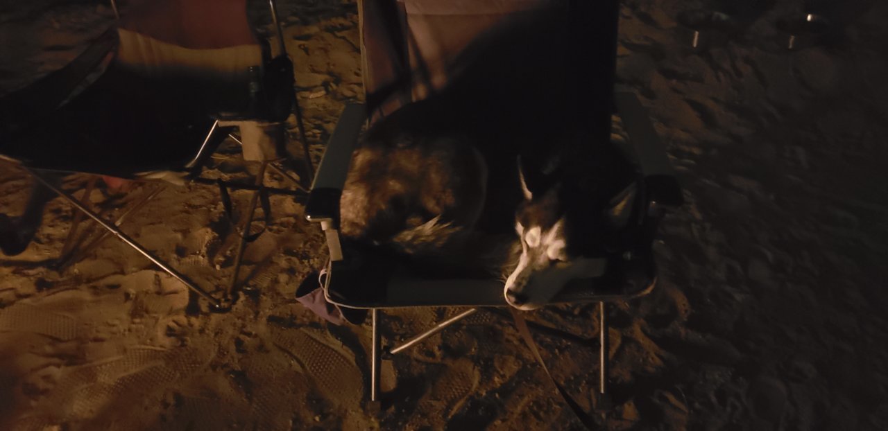 seat stealer.jpg