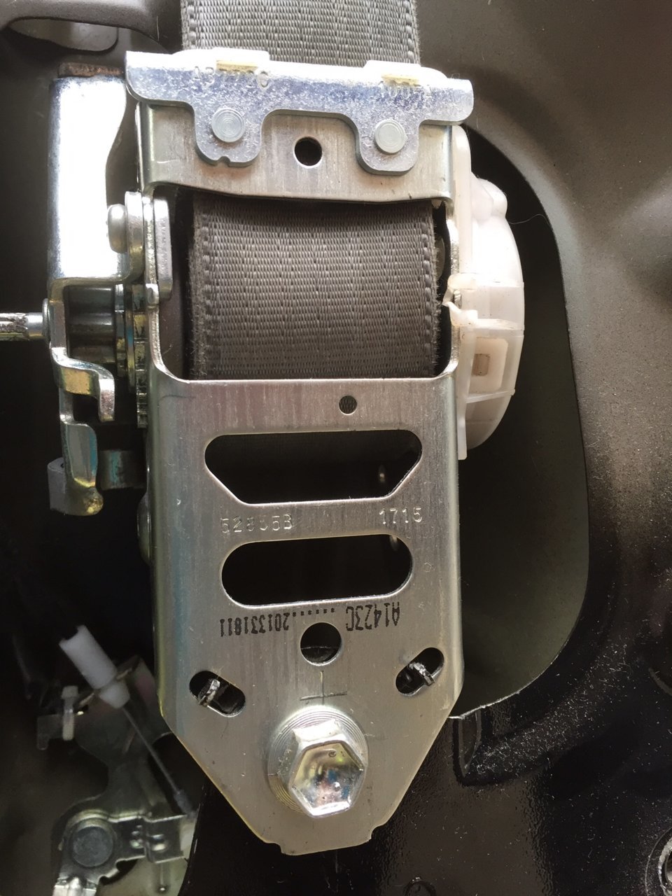 Seatbelt 2.jpg