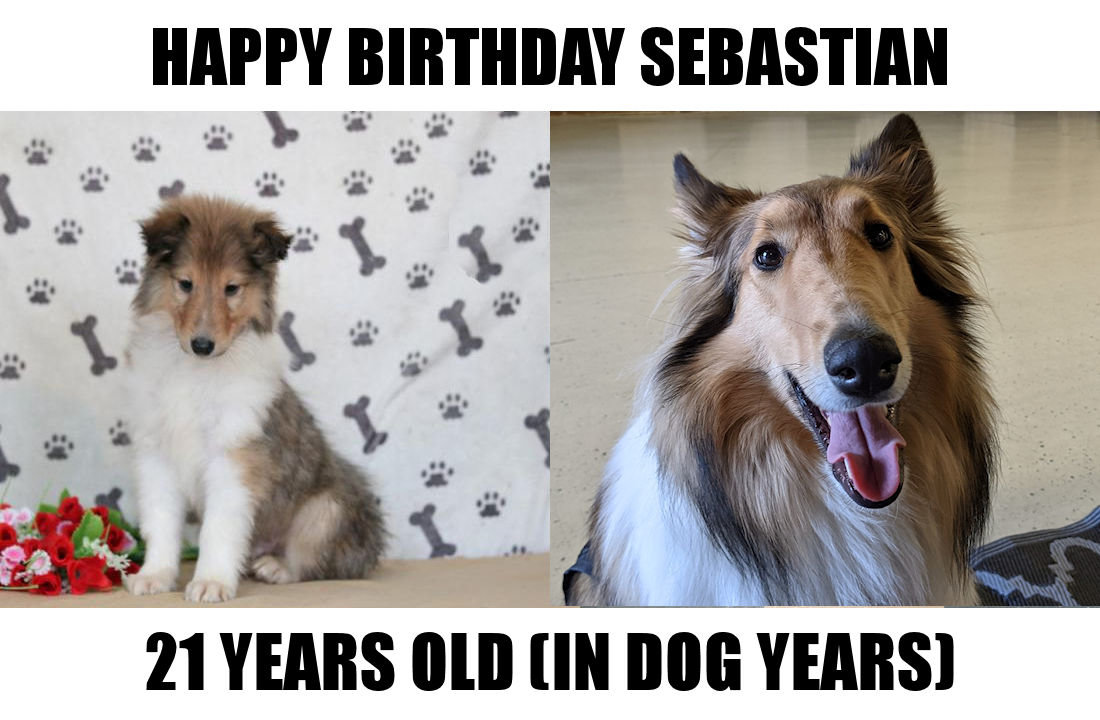 Sebastian 21.jpg