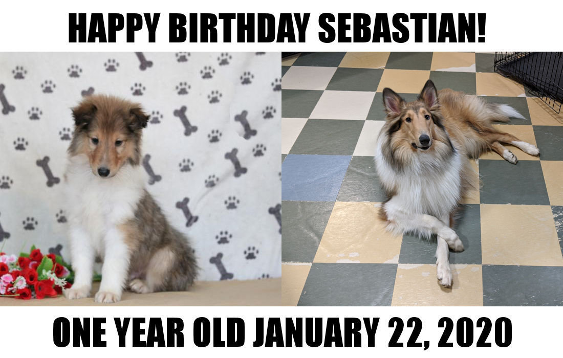 Sebastian Birthday.jpg