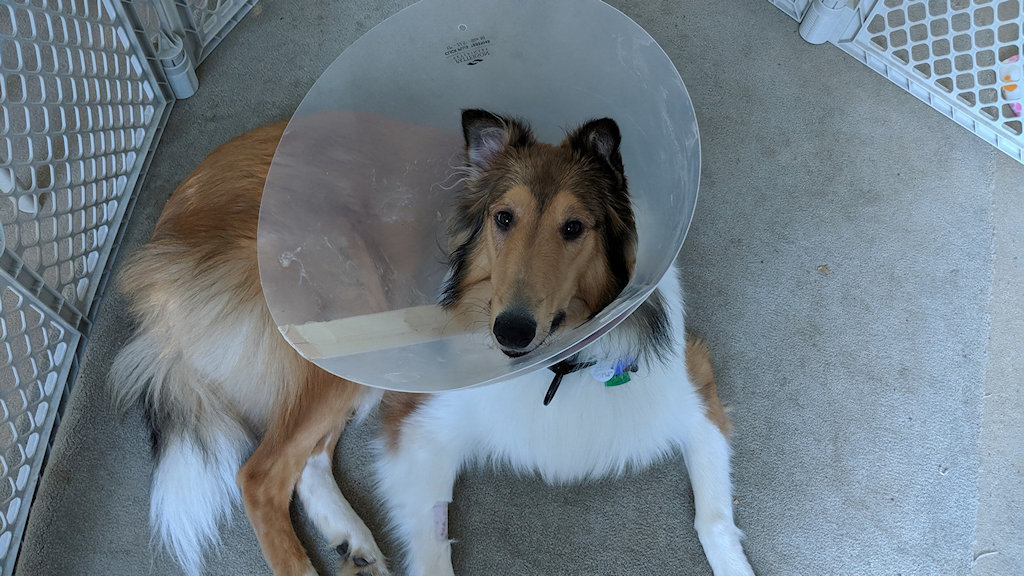 Sebastian Cone.jpg