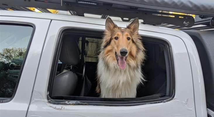 Sebastian in Truck.jpg