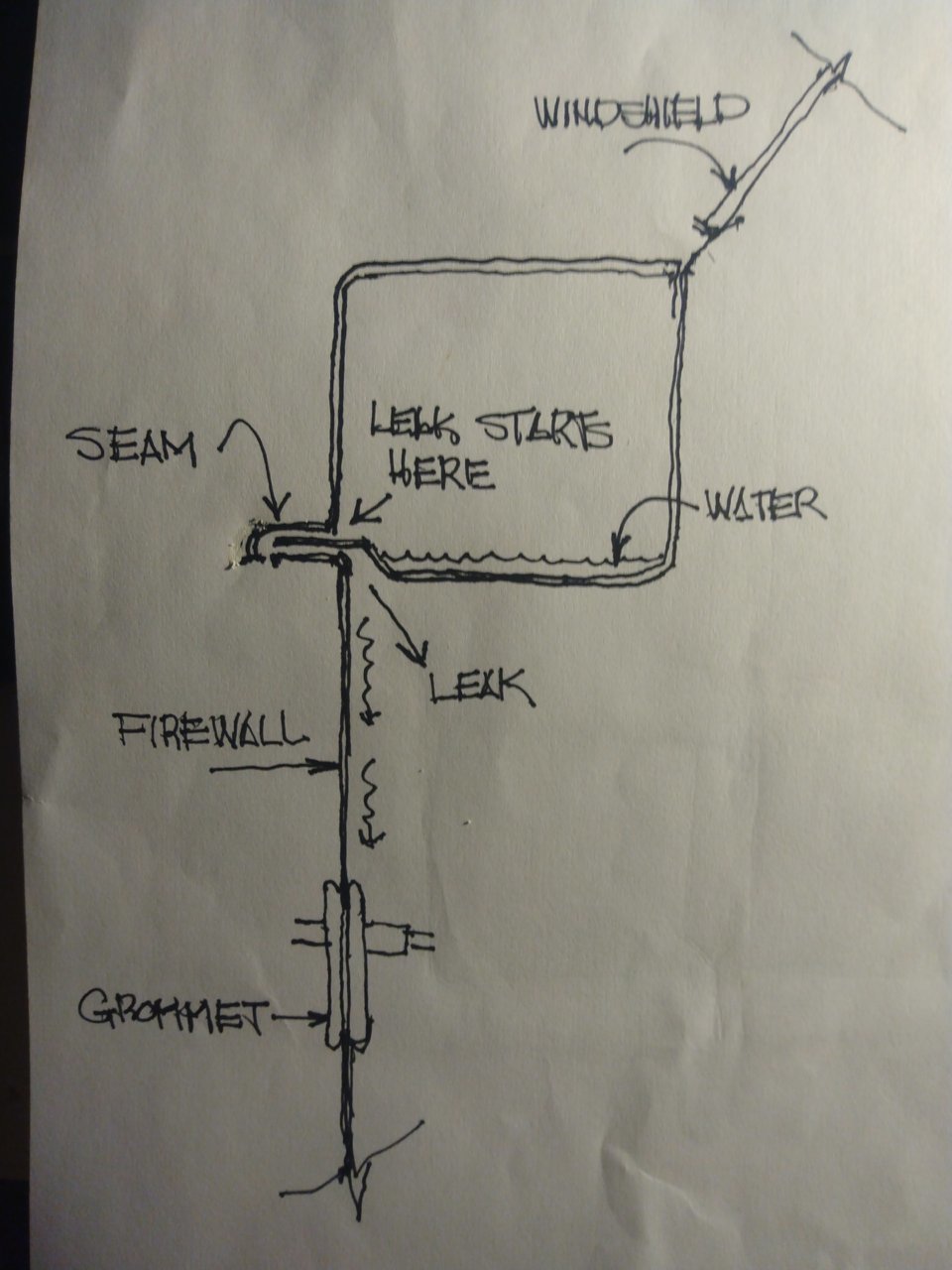 sECTION.jpg