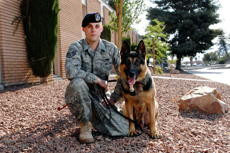 SecurityForce1_6b8bfeabaa00037d89132b5befadc8113cbce675.jpg