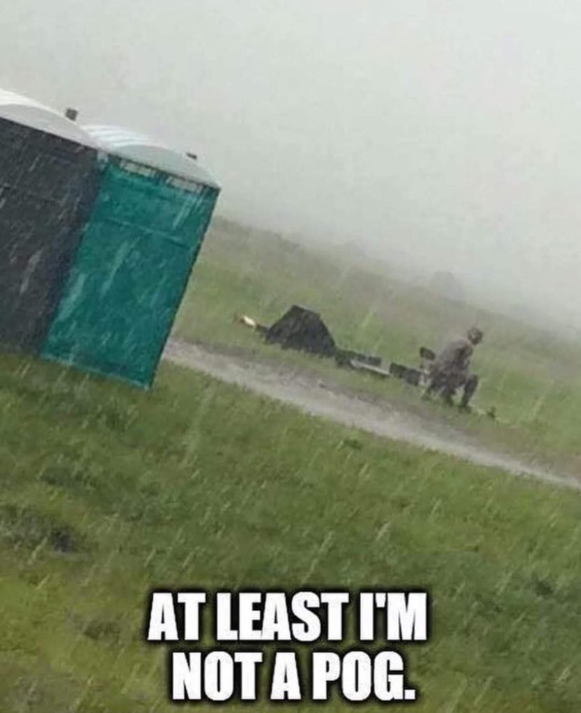 sElpgJR.jpg