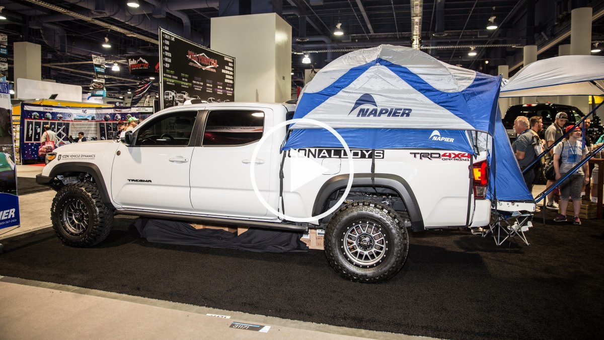 sema-napier-vth_h.jpg