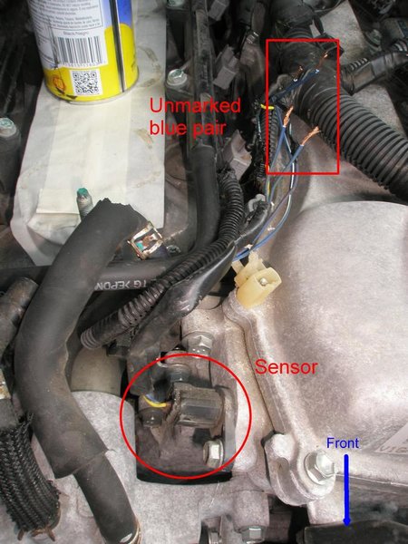 Sensor Leads.jpg