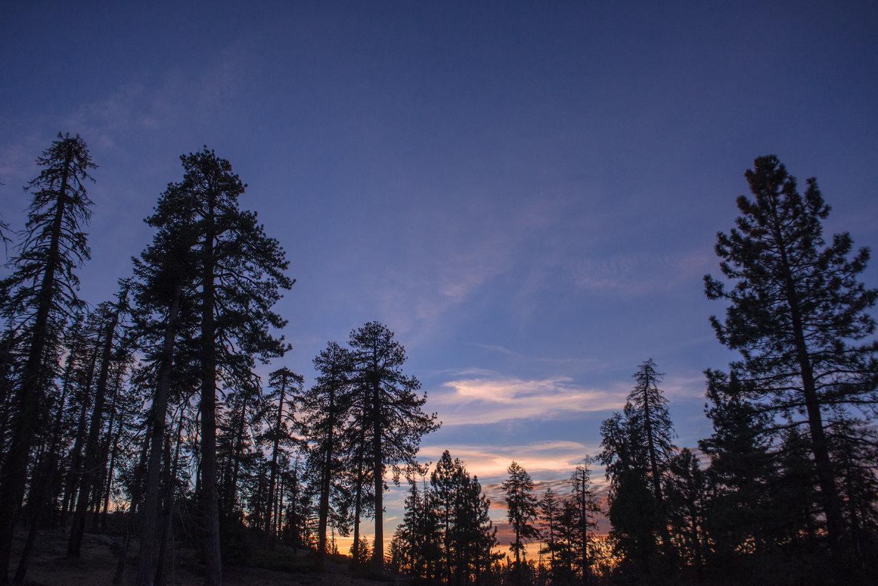 Sequoia National park trip 2017-68.jpg