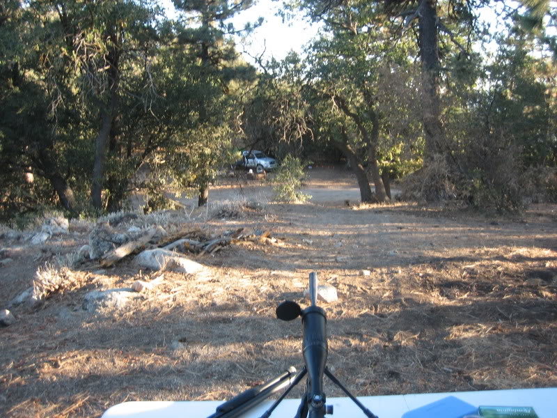 Sequoia036_48a906875c0d2e1fbcd45448c72085611cc9cc4b.jpg
