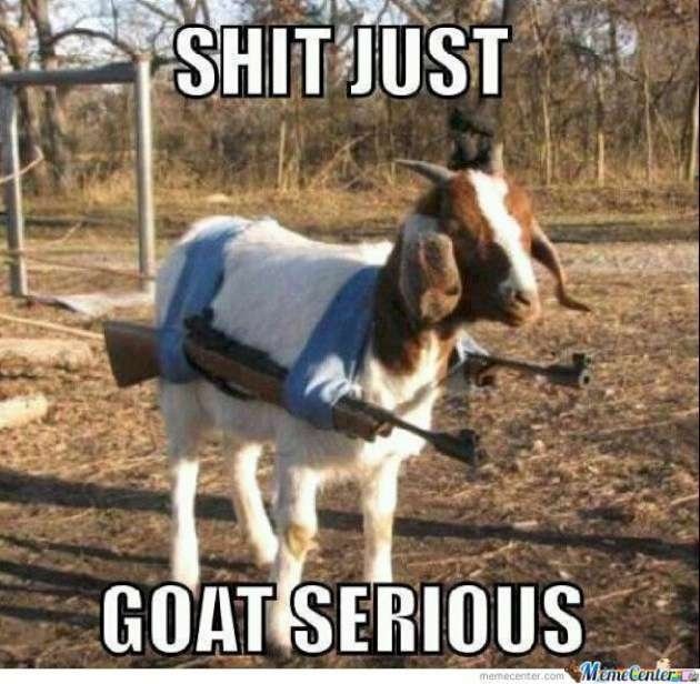 Serious goat.jpg