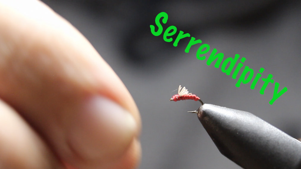 serr.jpg