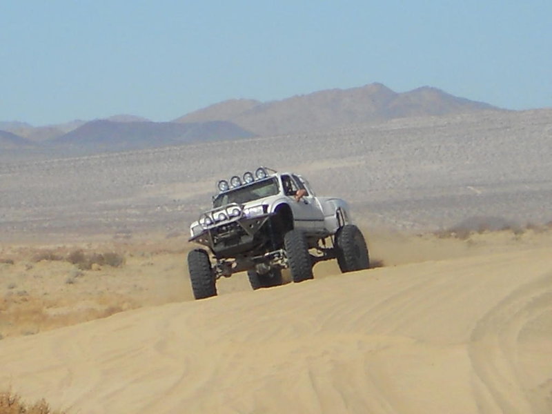 shad pics 766.jpg