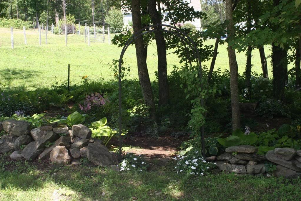 shade_garden1_cf9d99afd338ff222f5c712218597aa25fcea898.jpg