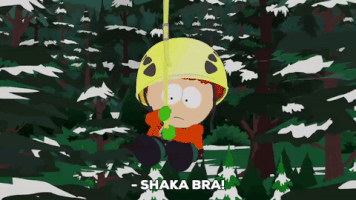 SHAKA BRAH.gif