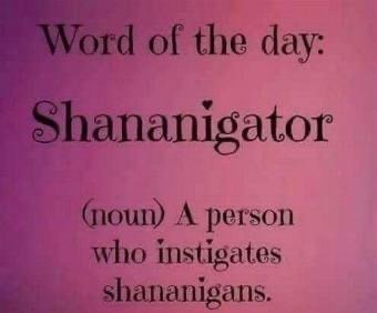 Shananigator.jpg