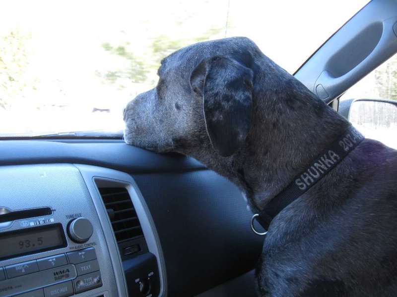 Shanka's new truck.jpg