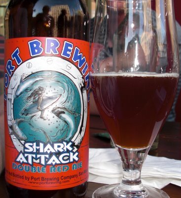Shark+attack+090626[1].jpg