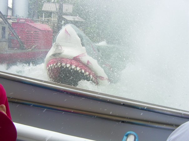 shark.jpg