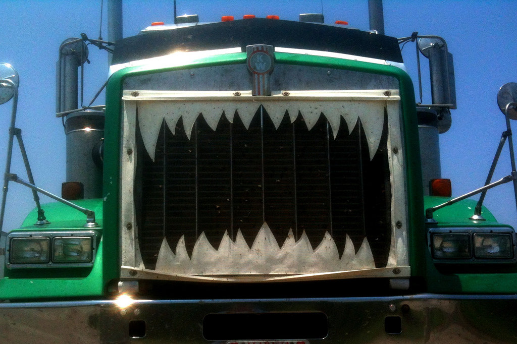 Shark.jpg