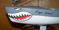 Shark Teeth 3.jpg