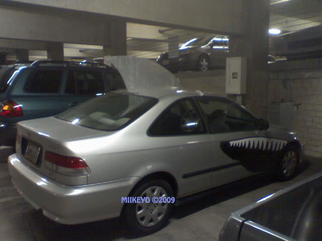 sharkcivic2copy_959cc6308cb01e13d892bbb69f2b94bf8971de62.jpg