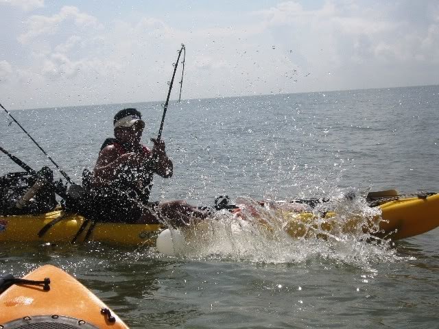 sharksplash_c0899f5b042a819cecb844ea79b4251054880cd1.jpg