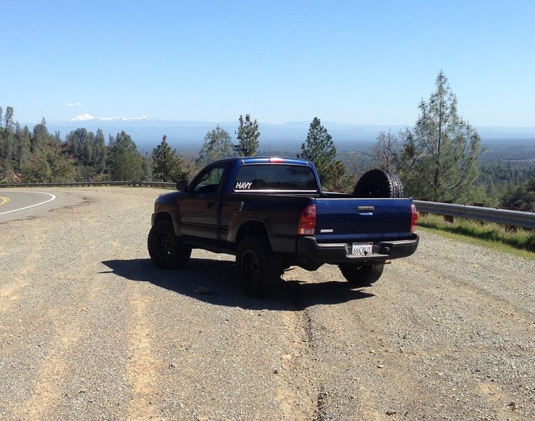 Shasta-1.jpg