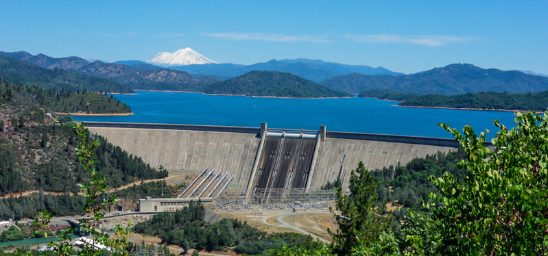 Shasta.jpg