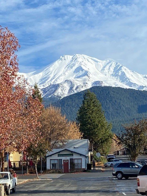 Shasta.jpg