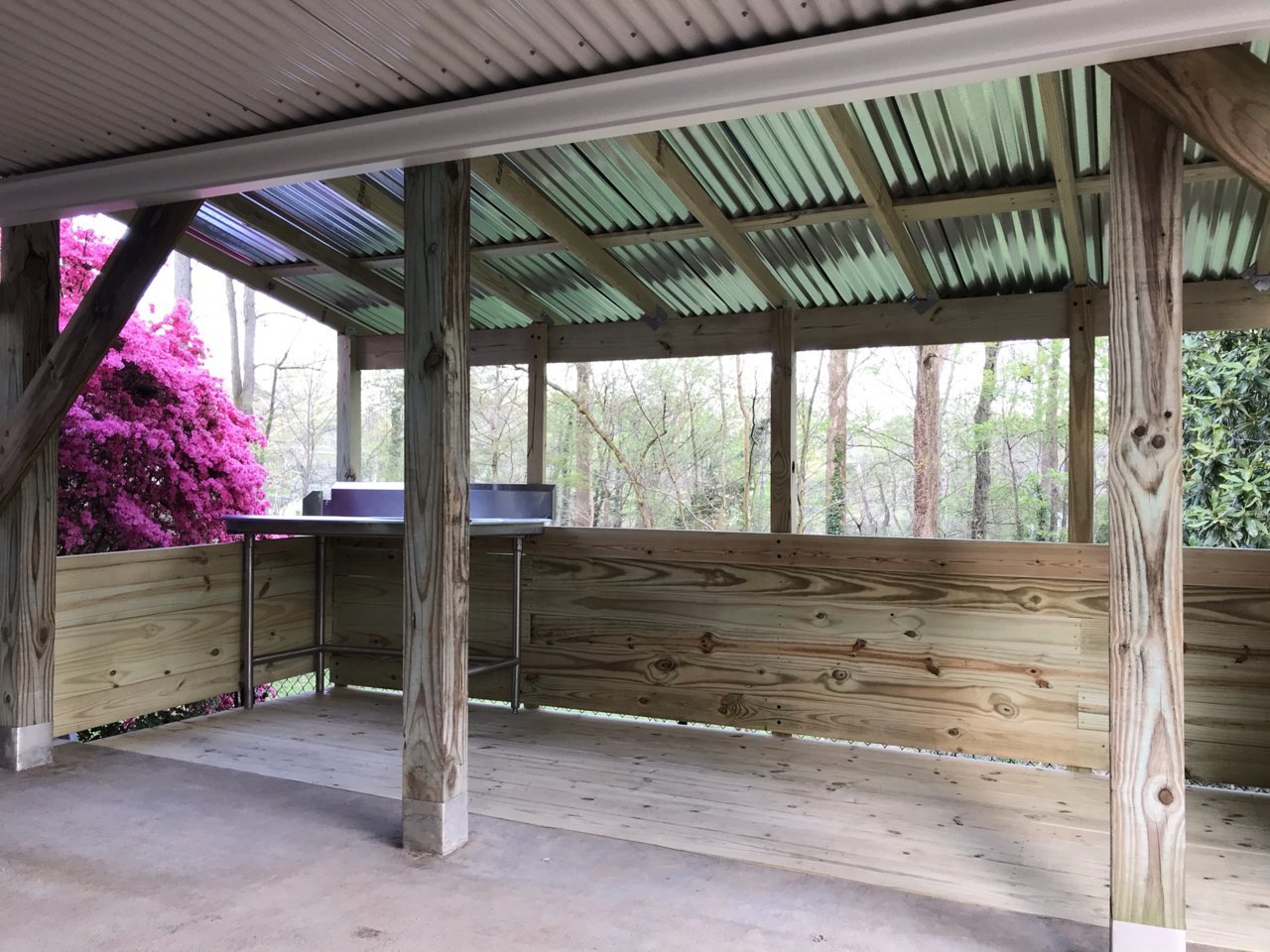 shed 3.jpg