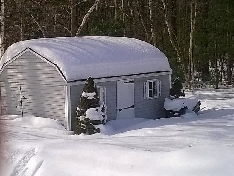shedbefore.jpg