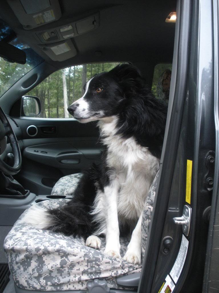 ShedHunt0001_zpsad07a9c6_f107c310cb37d473358ed91e88dcbe0c93368d30.jpg