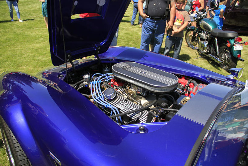 shelby engine.jpg