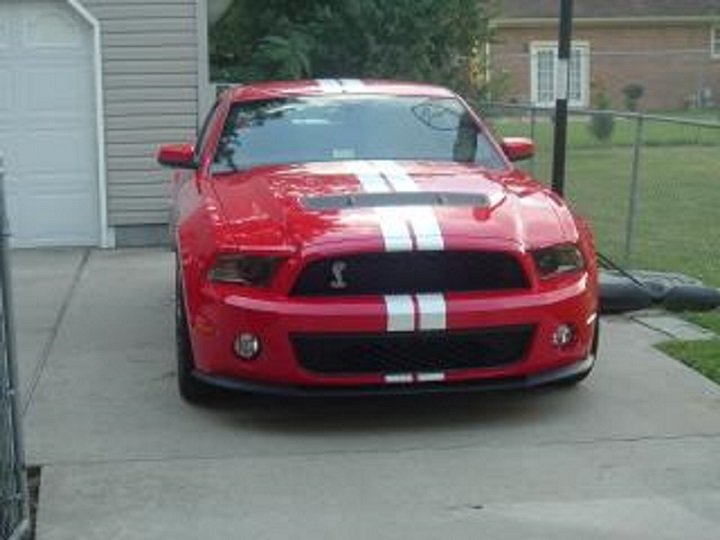 shelby front - Copy.jpg