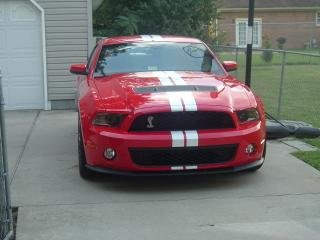 shelby front.jpg