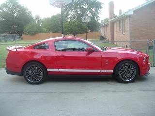 shelby pass side.jpg