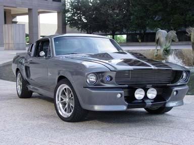 shelby_0a90689257d32c972b242faf2428a4a308ead8b4.jpg
