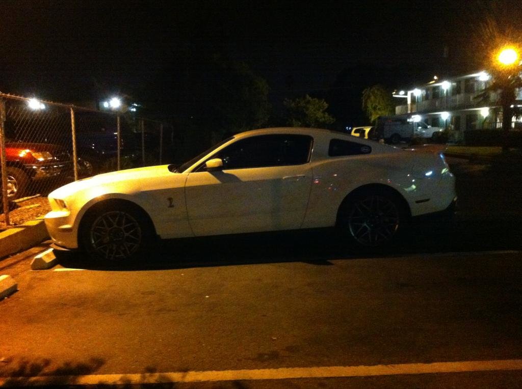 shelby_1ea2ac7787dc4c24b02b2e01a16e0df86c326f0c.jpg