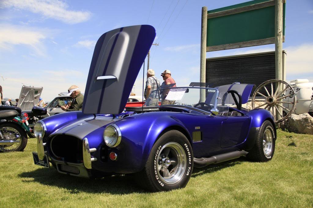 shelby_zps7cb9feb3_befedd8d329802b9ee76a42fa82532177b121a6f.jpg