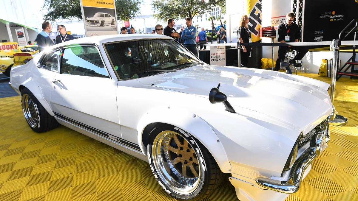 Shell-8036.jpg