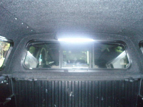 shell lights.jpg