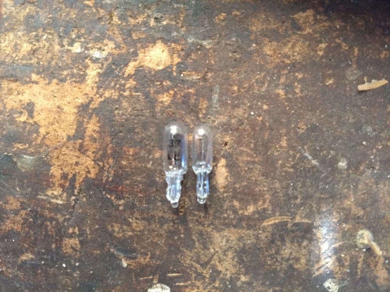 shifter bulbs.jpg